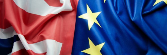 New guidelines on government tendering after Brexit